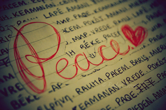 ♥♥♥♥♥♥♥♥♥♥♥♥♥♥♥♥ - xXOwnXx
