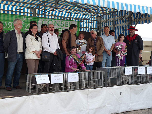 limousine net - 971 limousine pentru pescari