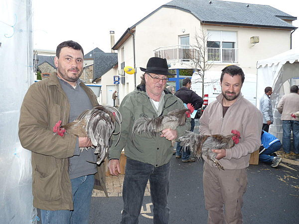 limousine net - 971 limousine pentru pescari