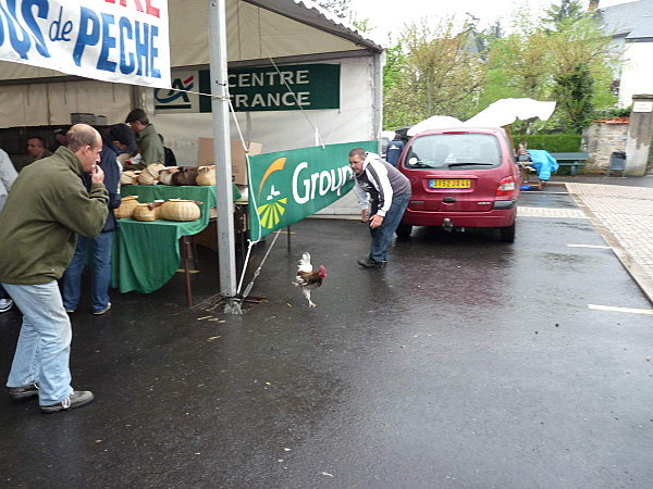 limousine net - 971 limousine pentru pescari