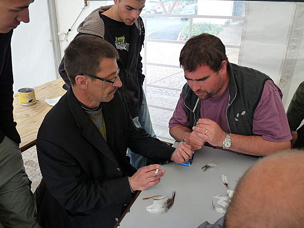 limousine net - 971 limousine pentru pescari