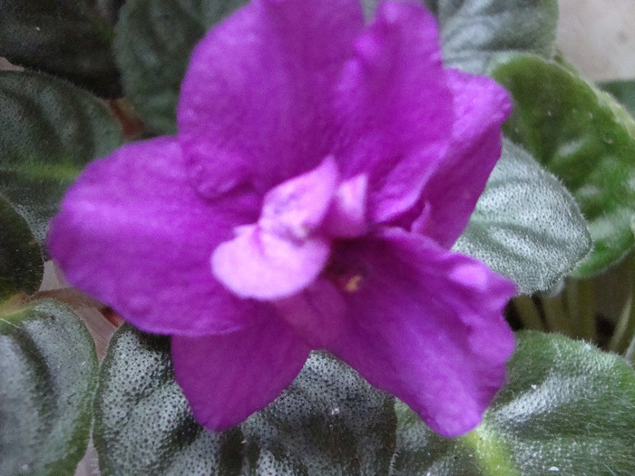 DSC05092