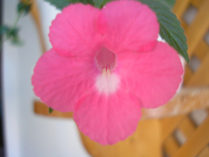 P6260375