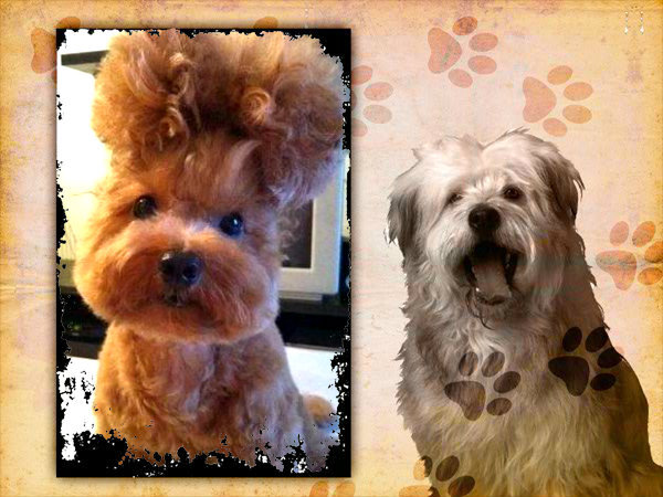 pizap.com10.59070852212607861340625887609