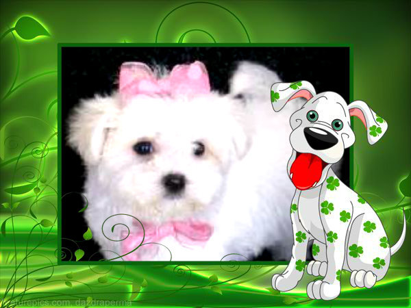 pizap.com10.60975465783849361340626160381