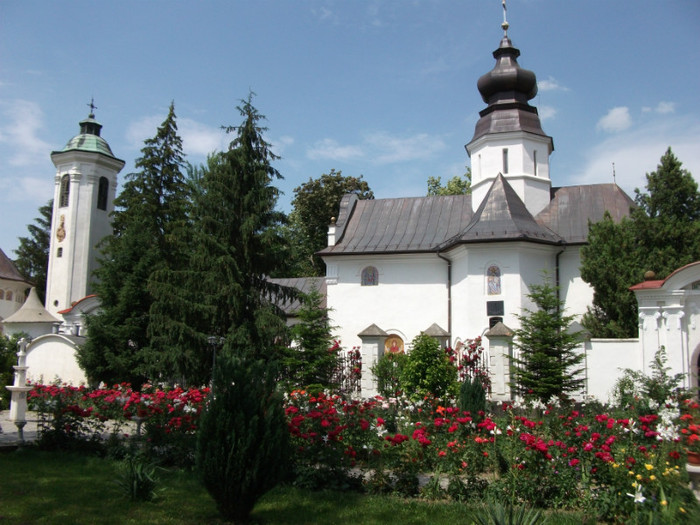 Picture 067 - Manastirea Hodos-Bodrog