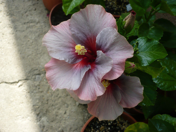 P1150133