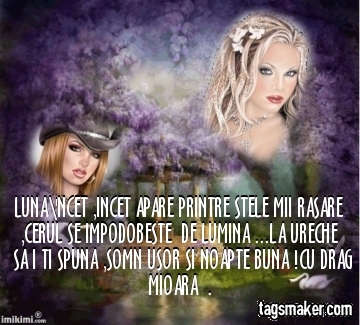  - BUNA DIMINEATA SI NOAPTE BUNA CU DEDICATIE 2