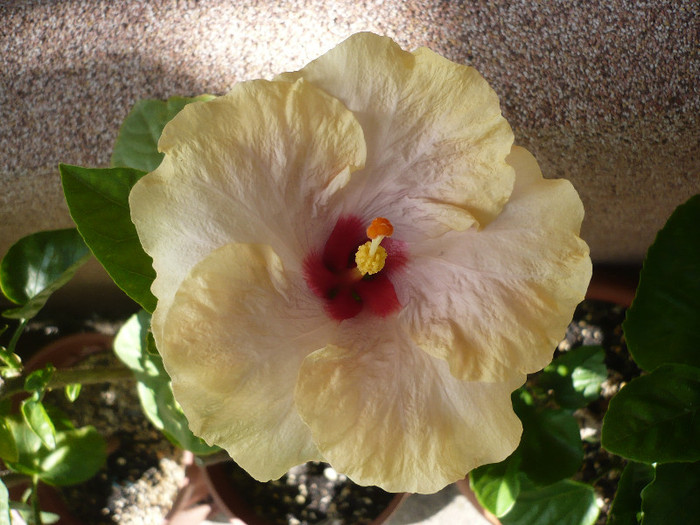 P1150154