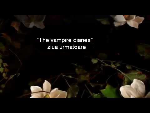 319755_221932494576106_950638069_n - The vampire diaries banda