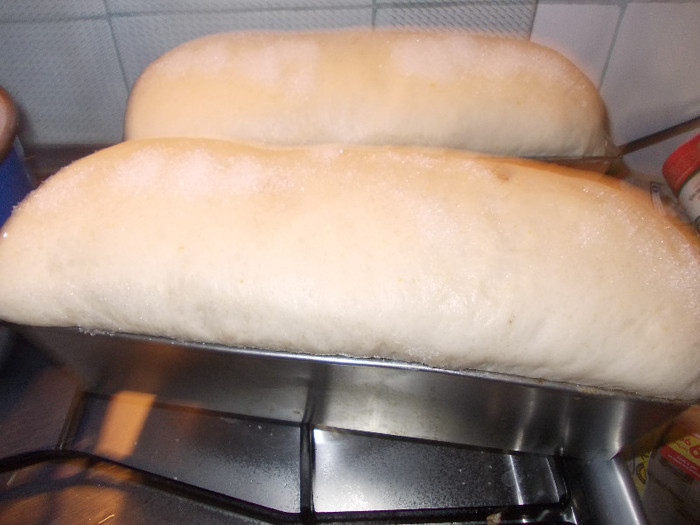 flo 122 - Meniu pt postul Sf Apostoli Petru si Pavel