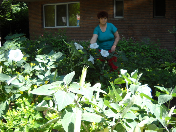 DSCN1777; Eu in gradina
