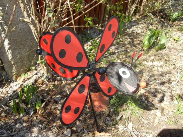 Buburuzica-Sef - Ladybug Red