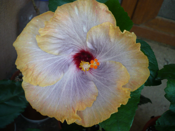 P1150241