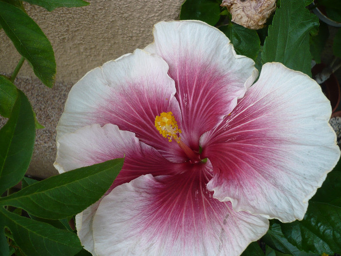 P1150244