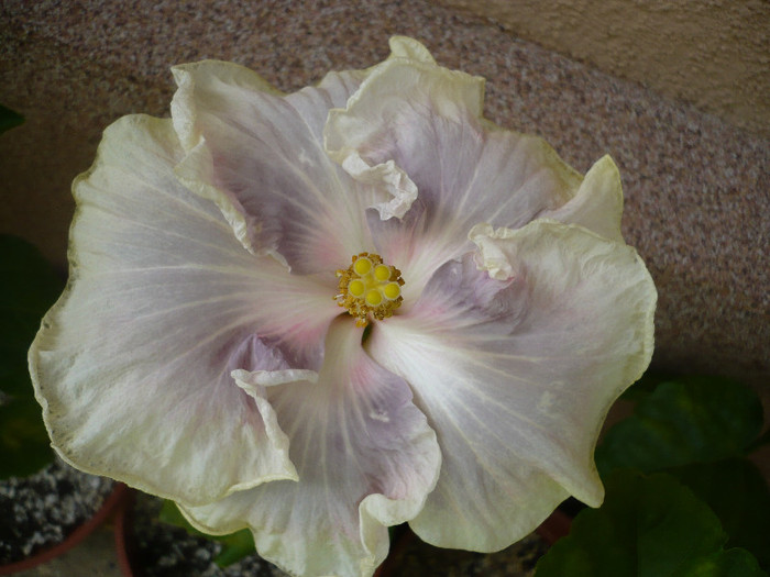 P1150248