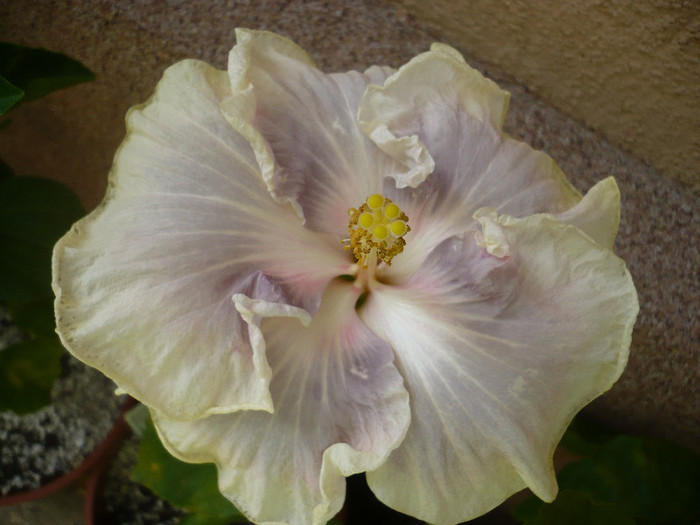 P1150249