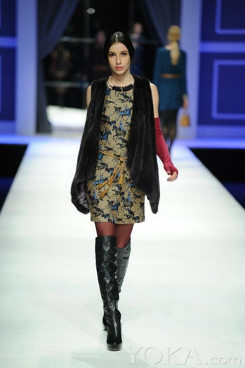 560067_438995516111480_310910093_n