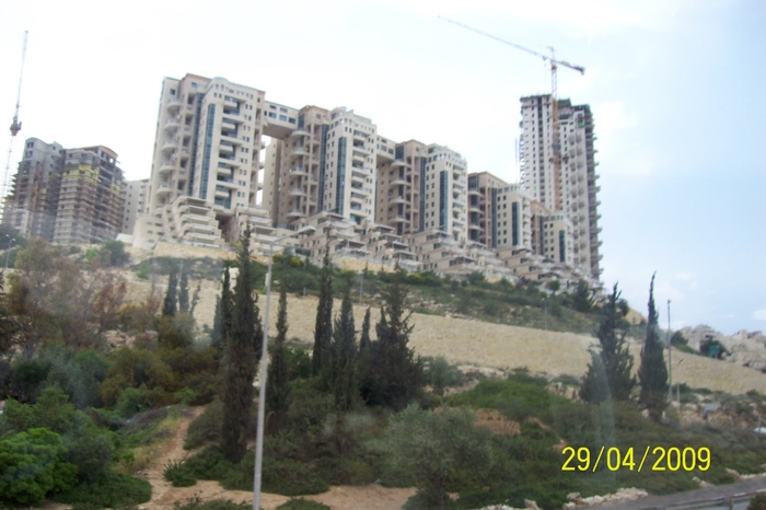 100_5745 - PRIN ISRAEL