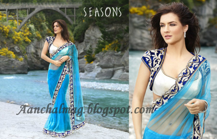 Designer-Saree-2012-seasons-aanchal-5 - SAREE SEASON 2011-2012