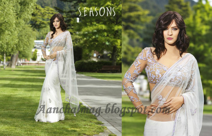 Designer-Saree-2012-seasons-aanchal-6