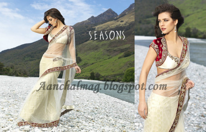 Designer-Saree-2012-seasons-aanchal-9 - SAREE SEASON 2011-2012