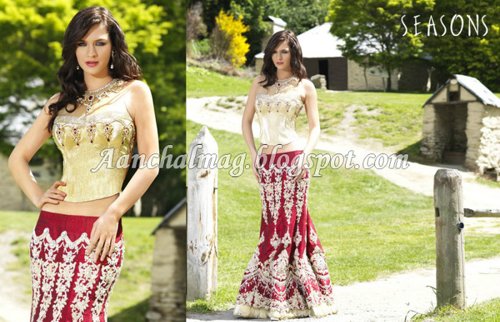 Designer-Saree-2012-seasons-aanchal-10