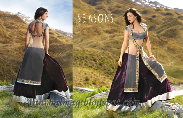 Designer-Saree-2012-seasons-aanchal-13