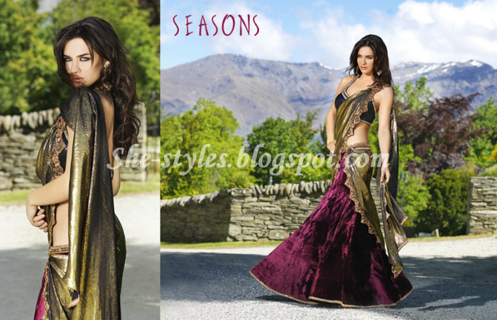 Indian Designer Saris @ seasons she (6)