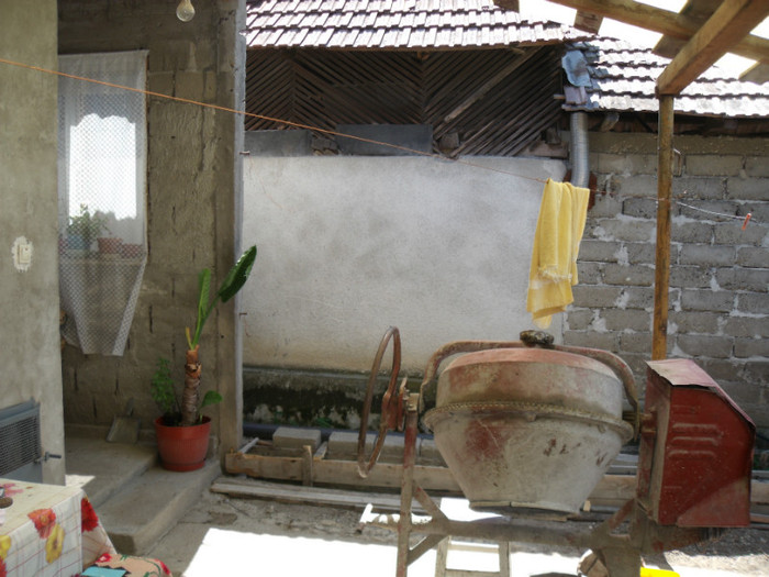 Picture 251 - gradina 2012