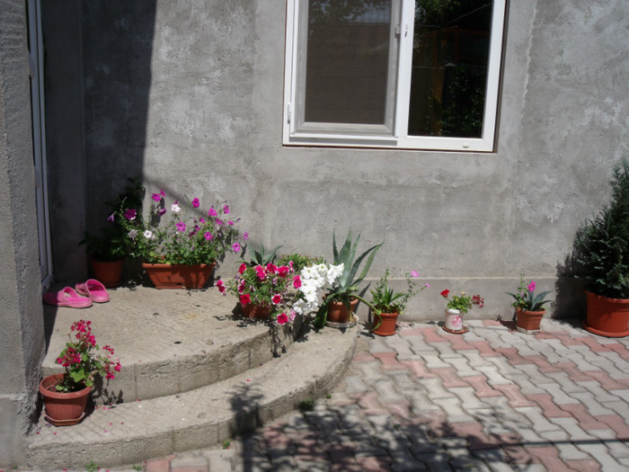 Picture 265 - gradina 2012