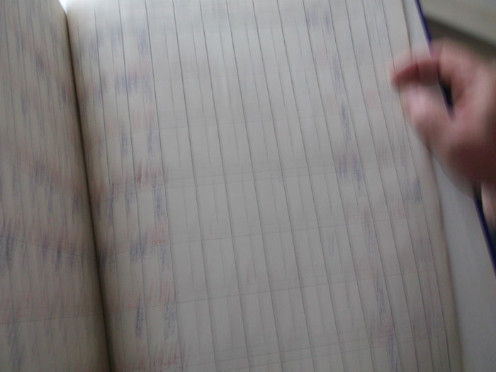 Picture 3607 - 45 DE ANI DE MARETE IMPLINIRI