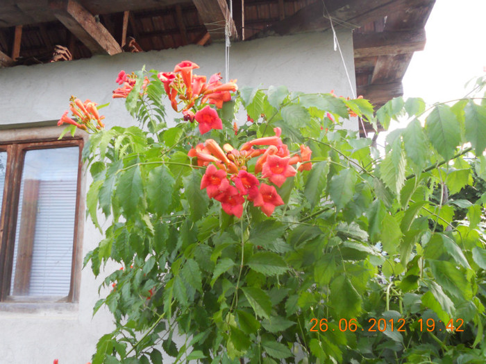 DSCN1533