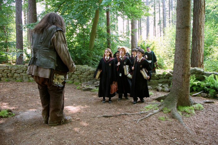 181 - Harry Potter si Prizonierul din Azkaban 2004