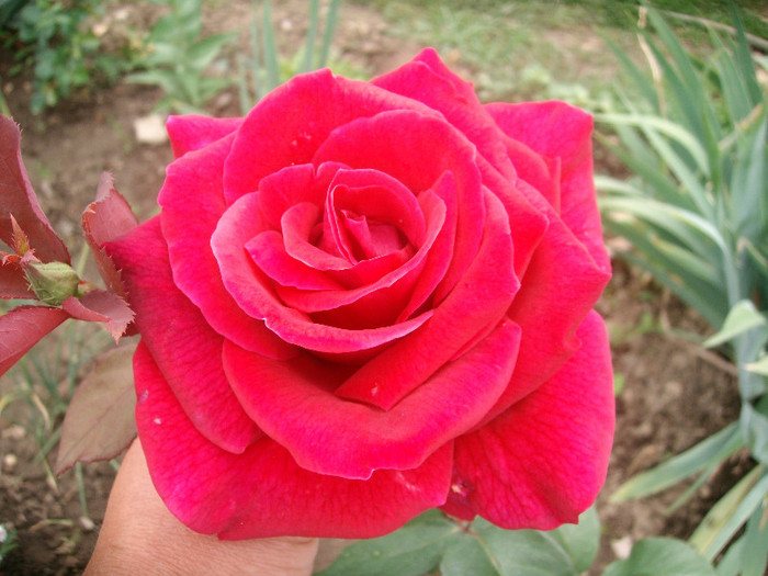SANY0070