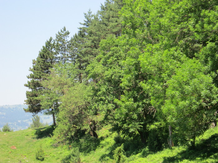  - peisaje de unde locuiesc