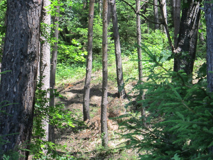  - peisaje de unde locuiesc