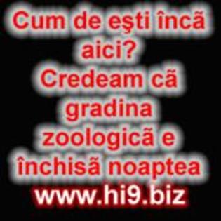 cum de esti inca aici credeam ca gradina zoologica e inchisa noaptea - POZE hi9 biz