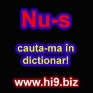 nu s cautama in dictionar - POZE hi9 biz