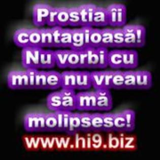 prostia ii contagioasa nu vorbi cu mine ca nu vreau sa ma molipsesc - POZE hi9 biz
