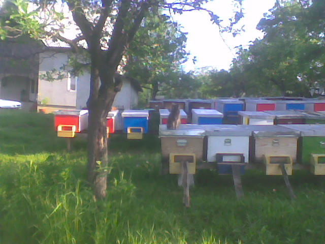 Imag054