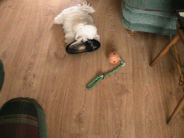 Iam furat pantoful lu Eileen