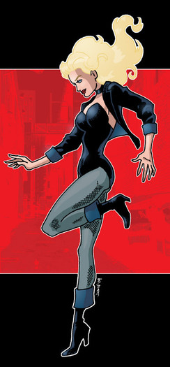 Black_Canary___April_2009_by_davidd13