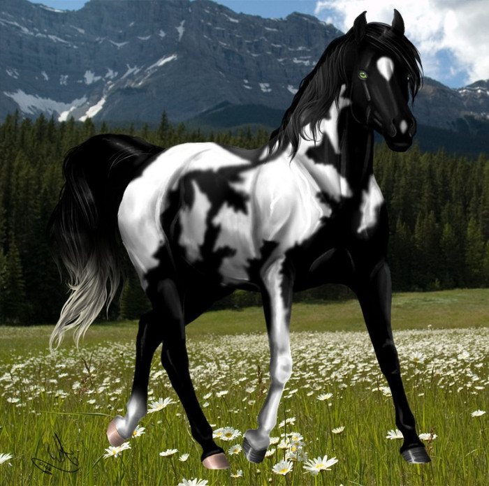 moon_strider_by_alissad-d4x0w5n - Horses