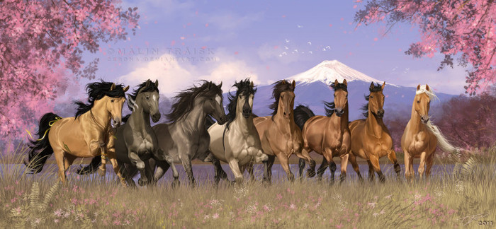 3518d010aef1b01c1487cde59d7e2d82-d39tyg5 - Horses