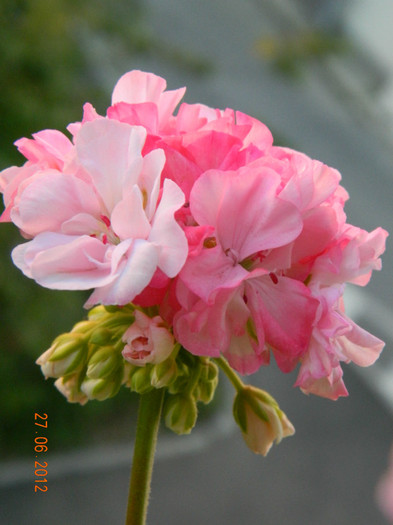 DSCN0756