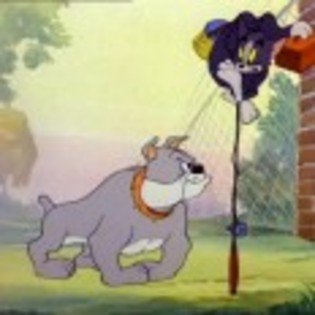 Tom_and_Jerry_1236209280_0_1965 - tom and jerry