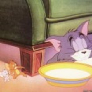 Tom_and_Jerry_1237483214_1_1965