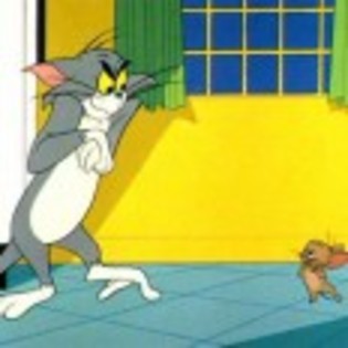 Tom_and_Jerry_1237483304_2_1965