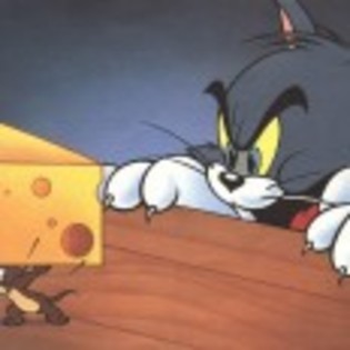 Tom_and_Jerry_1237483335_4_1965